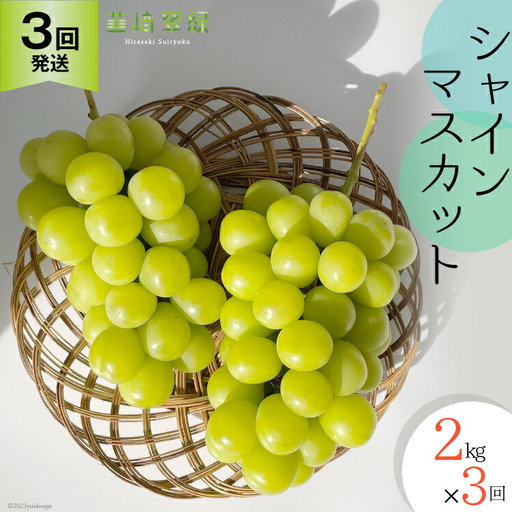 【2026年発送 定期便 】【3回 発送】シャインマスカット 予約 2kg 相当 3回 計 6kg シャイン 山梨 やまなし ぶどう ブドウ 葡萄 マスカット 種なし 果物 フルーツ 山梨県産 産地直送 期間限定 季節限定 冷蔵 定期便 NS-1012 韮崎翠緑セレクト [韮崎翠緑 山梨県 韮崎市 20742829]