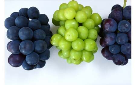 【2026年発送】 ぶどう 先行予約 シャインマスカット & ピオーネ 食べ比べ 約2kg  [フルーツランド平賀 山梨県 韮崎市 20742835]