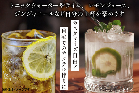 ジン 700ml 1本｜スピリッツ クラフトジン  JIN ソーダ割り GIN  [サン.フーズ 山梨県 韮崎市 20743785]