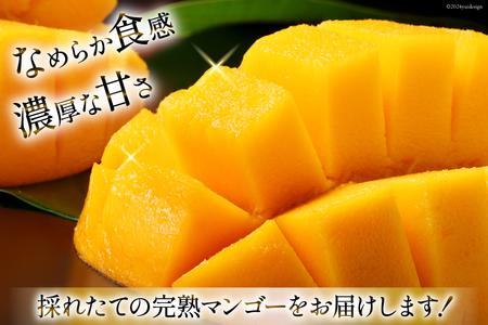 【期間限定発送】訳あり 八ヶ岳 完熟マンゴー ご家庭用 2kg セット [採園 山梨県 韮崎市 20742962]