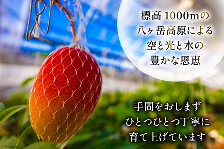 【期間限定発送】訳あり 八ヶ岳 完熟マンゴー ご家庭用 2kg セット [採園 山梨県 韮崎市 20742962]