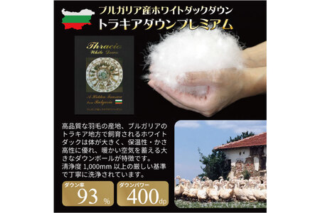 訳あり 羽毛布団 セミダブル 冬用 色柄おまかせ 本掛け 80番手サテン  数量限定｜[川村羽毛 山梨県 韮崎市 20743066]