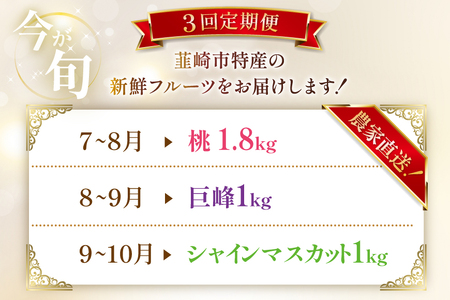 【先行受付 定期便】 季節の果物 3回 桃 1.8kg 巨峰 1kg シャインマスカット 1kg NS-1015 [韮崎翠緑 山梨県 韮崎市 20743070]