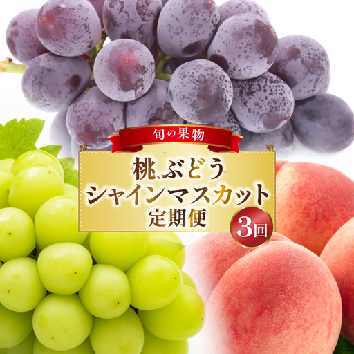 フルーツ 定期便 3回 山梨 旬な果物 大満足3種セット 桃 2.2kg(6〜10玉) ぶどう 900g(2房) シャインマスカット 1.2kg(2房) [斎庵 山梨県 韮崎市 20743911]