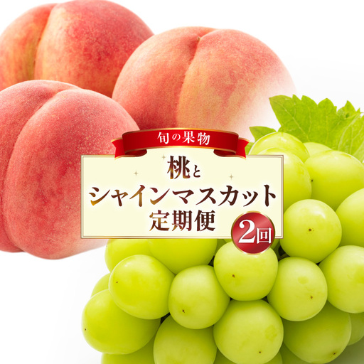フルーツ 定期便 2回 山梨 旬な果物 人気の2種セット 桃 2.2kg(6〜10玉) シャインマスカット 1.2kg(2房) [斎庵 山梨県 韮崎市 20743912]