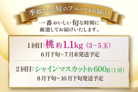 フルーツ 定期便 2回 山梨 旬な果物 お試しセット 桃 1.1kg(3〜5玉) シャインマスカット 600g(1房) [斎庵 山梨県 韮崎市 20745282]