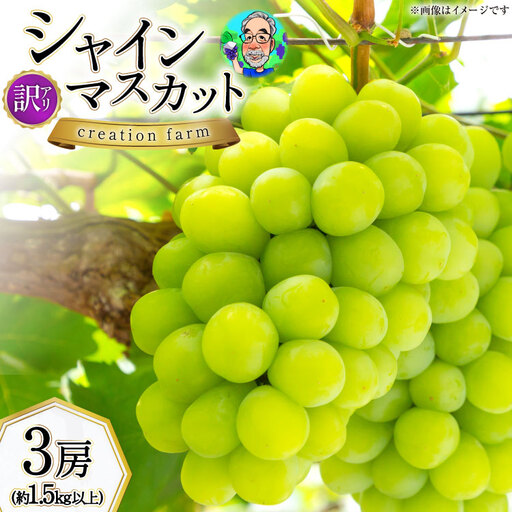 【2026年発送】 訳あり シャインマスカット 予約 朝採れ 3房 計 1.5kg以上  [Creation farm 山梨県 韮崎市 20744955]