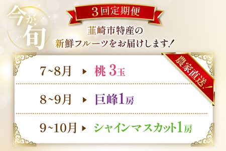 【2026年発送！先行予約！】ちっとばかしフルーツ3回定期便 桃 巨峰 シャインマスカット 【年3回】NS-1016 [韮崎翠緑 山梨県 韮崎市 20744991] 