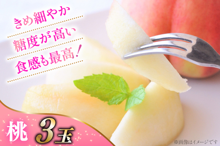 【2026年発送！先行予約！】ちっとばかしフルーツ3回定期便 桃 巨峰 シャインマスカット 【年3回】NS-1016 [韮崎翠緑 山梨県 韮崎市 20744991] 