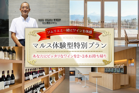 【ふるなび限定】 体験チケット 1名様分 あなたにピッタリなワインをソムリエと一緒に見つけませんか。 [本坊酒造株式会社マルス穂坂ワイナリー 山梨県 韮崎市 20745037]  FN-Limited-SP