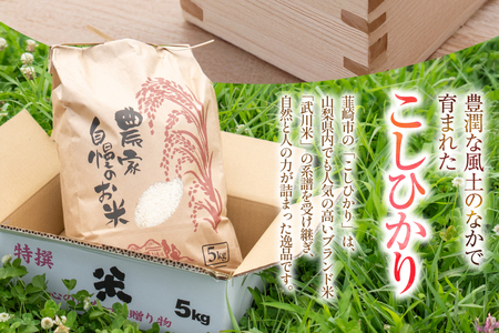 令和8年産 コシヒカリ 5kg 白米 [駒井農園 山梨県 韮崎市 20745372]