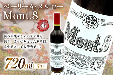 【ふるなび限定】  Mont.8 ベーリーA・メルロー 赤ワイン 辛口 720ml 酒 赤  能見園河西ワイナリー [まあめいく 山梨県 韮崎市 20745223] FN-Limited-SP