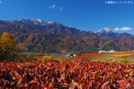 【ふるなび限定】  Mont.8 ベーリーA・メルロー 赤ワイン 辛口 720ml 酒 赤  能見園河西ワイナリー [まあめいく 山梨県 韮崎市 20745223] FN-Limited-SP