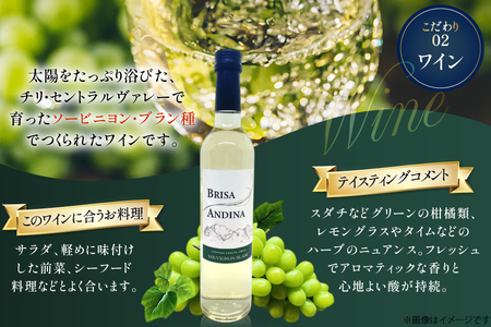 【ふるなびWEEK対象】 ワイン 白 ブリサ・アンディーナ ソーヴィニヨンブラン 500ml 12本 セット [カサ・ピノ・ジャパン 山梨県 韮崎市 20745345] FN-Limited-WE
