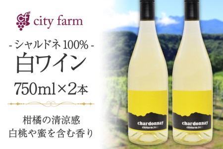 シャルドネ100% 白ワイン 750ml×2本（アルコール度数12％）＜city farm