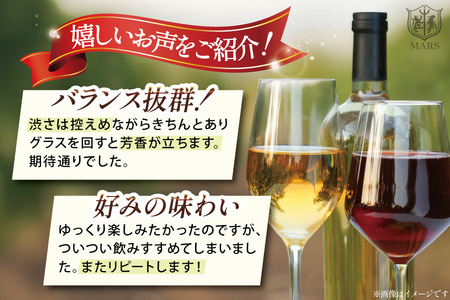 ワイン 定期便 12回 赤 白 毎月 飲み比べ ソムリエ セレクト 本坊酒造 マルス穂坂ワイナリー 山梨県 韮崎市 [20743307]