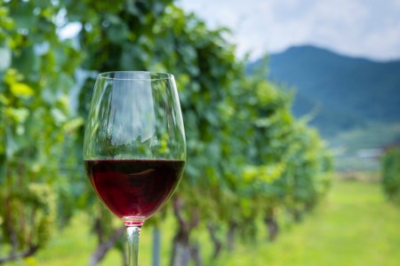 【定期便3回】赤ワイン 穂坂マスカット・ベーリーＡ シングル・ヴィンヤード 750ml 2種 アルコール度 12% [シャトー・メルシャン 勝沼ワイナリー 山梨県 韮崎市 20743312]