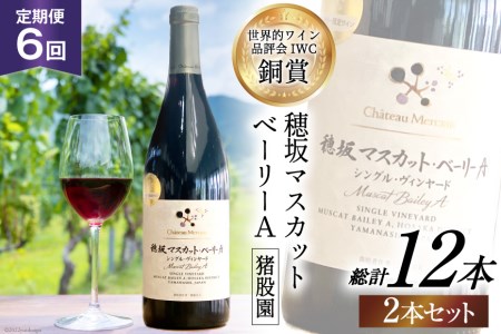 【定期便6回】 赤ワイン 穂坂マスカット・ベーリーA シングル・ヴィンヤード 栽培責任者 猪股宣夫 750ml 2本 アルコール度 12% [シャトー・メルシャン 勝沼ワイナリー 山梨県 韮崎市 20743319]