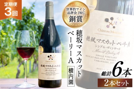【定期便3回】 赤ワイン 穂坂マスカット・ベーリーA シングル・ヴィンヤード 栽培責任者 横内栄人 750ml 2本 アルコール度 12% [シャトー・メルシャン 勝沼ワイナリー 山梨県 韮崎市 20743324]