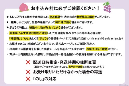 【定期便 3回】フルーツ王国からの贈り物 [斎庵 山梨県 韮崎市 20742802] さくらんぼ 桃 もも シャインマスカット ぶどう フルーツ 果物 高級 季節限定 冷蔵 