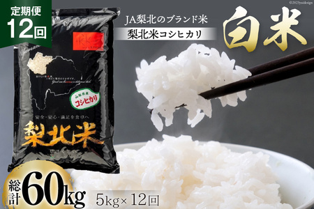 米 【定期便 12回 】梨北米 コシヒカリ 5kg 12回 総計 60kg