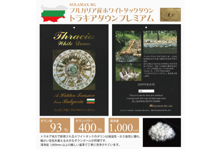 羽毛布団 シングル 冬用 本掛け  80番手サテン (アリーチェブルー 青 柄 )｜[川村羽毛 山梨県 韮崎市 20743608]