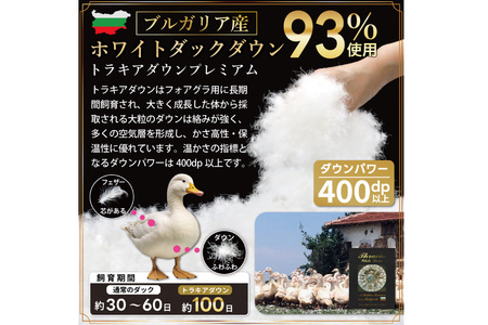 【オールシーズン】 洗える羽毛布団 セミダブル 肌掛け 合掛け  2枚組 グレー 無地｜[川村羽毛 山梨県 韮崎市 20743603]