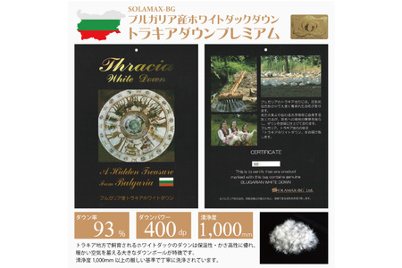 羽毛布団 シングル 冬用 本掛け (ビーチェピンク 赤 柄 )  [川村羽毛 山梨県 韮崎市 20743614]