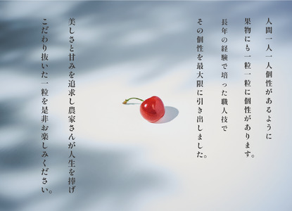 ＜2025年発送分先行予約＞山梨県産 たっぷりバラ詰めさくらんぼ 400g　 M,Lサイズ ALPAL021