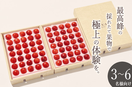 ＜2026年発送先行予約＞南アルプス市産 大粒さくらんぼ“紅秀峰” 2L,3Lサイズ 70粒入 ALPAL018
