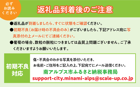 ＜2025年発送分先行予約＞山梨県南アルプス市産シャインマスカット　秀等品　約1.5ｋｇ　2～3房 ALPAH016