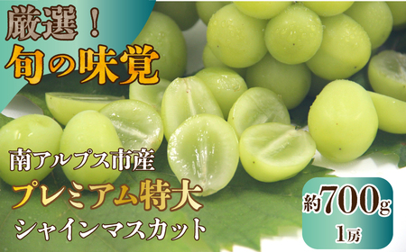 5-109 厳選！旬の味覚　南アルプス市産　プレミアム特大シャインマスカット　700g以上　１房