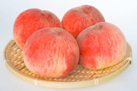 南アルプス天空舎四季の果樹５種（あんぽ柿,キウイ,もも,貴陽,シャインマスカット） ALPAB012