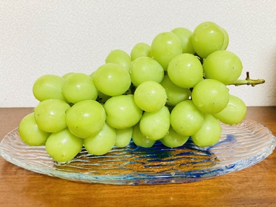 南アルプス天空舎四季の果樹3種その1(あんぽ柿,もも,シャインマスカット) ALPAB007