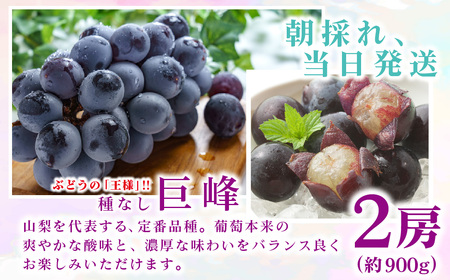 【2025年発送先行予約】山梨県産 定期便3回送り　南アルプスの果物セット ALPAI017