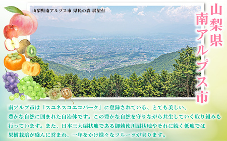 【2025年発送先行予約】山梨県産 定期便3回送り　南アルプスの果物セット ALPAI017