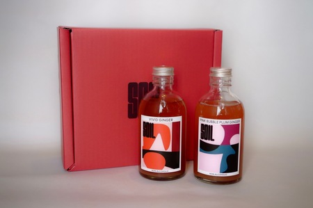 南アルプス市の大人の夜のジンジャーシロップ２本セット（ビビットジンジャー/ピンクバブルプラムジンジャー）　ALPDR002