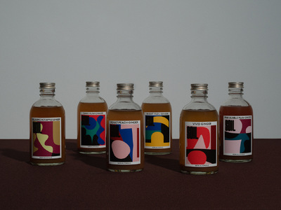 南アルプス市の大人の夜のジンジャーシロップ２本セット（ビビットジンジャー/ピンクバブルプラムジンジャー）　ALPDR002