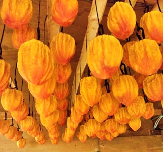 ＜2026年発送分先行予約＞山梨県南アルプス市産 あんぽ柿（百目柿） 大玉8個 化粧箱入り ALPAH003