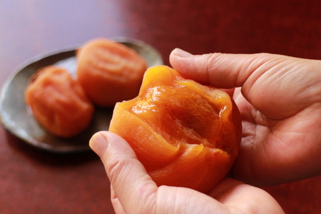 ＜2026年発送分先行予約＞山梨県南アルプス市産 あんぽ柿（百目柿） 大玉12個 化粧箱入り ALPAH004