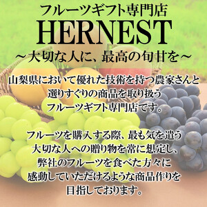 ＜2026年発送分先行予約＞山梨県南アルプス市産 あんぽ柿（平種柿） 大玉8個 化粧箱入り ALPAH005
