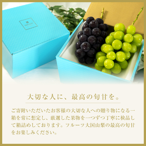 <2026年発送先行予約>夏冬の全2回発送 山梨県南アルプス市産 シャインマスカット定期便 約1.0kg×2回 2~3房入り ALPAH001