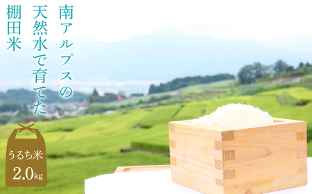 6-50 【うるち米2キロ】南アルプスの天然水で育てた棚田米 ALPCC001