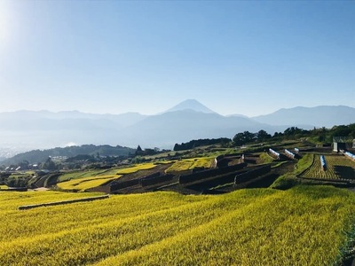 6-50 【うるち米2キロ】南アルプスの天然水で育てた棚田米 ALPCC001