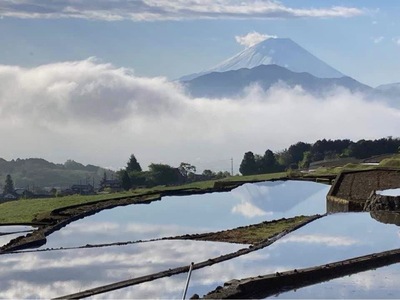6-50 【うるち米2キロ】南アルプスの天然水で育てた棚田米 ALPCC001