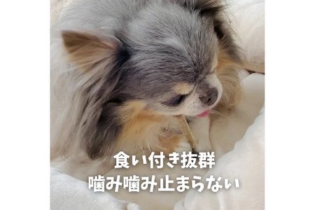 6-69 デンタルケアに天然鹿の皮ガムセット小型犬用 ALPDW001