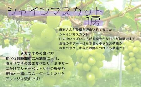 南アルプス市の味をお届け!新鮮なくだもの4回定期便 ALPAJ004