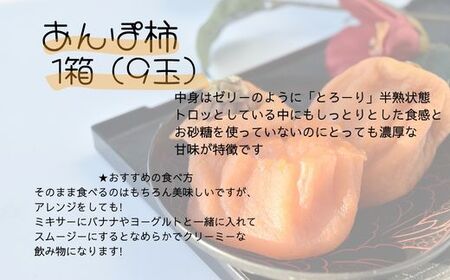 南アルプス市の味をお届け!新鮮なくだもの4回定期便 ALPAJ004