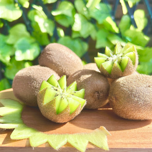 山梨県南アルプス市産 キウイ定期便 約2ｋｇｘ4回 ALPAH041