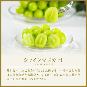 <2026年発送分先行予約>山梨県南アルプス市産シャインマスカット 粒 1kg ALPAH044